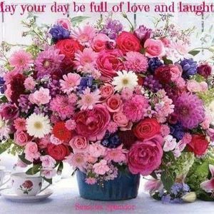 Meet your Posher, Sandra